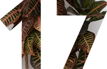 grafika numer 17